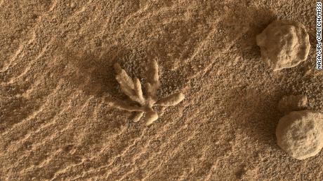pequeño & # 39;  flor & # 39;  Una formación observada en Marte por el rover Curiosity