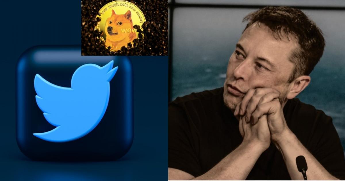 Tesla Motors, Inc.  (NASDAQ: TSLA), Dogecoin - USD (CRYPTO: $DOGE) - Elon Musk pregunta "¿Se necesita una nueva plataforma?": Cambiar el logo de Twitter de Bird a Doge será "Sickkk"