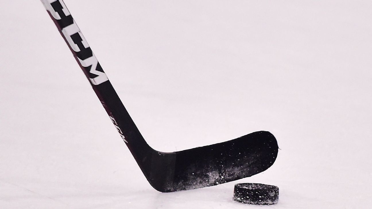 La Federación Internacional de Hockey sobre Hielo ha despojado a Rusia de su derecho a albergar el Campeonato Mundial de 2023