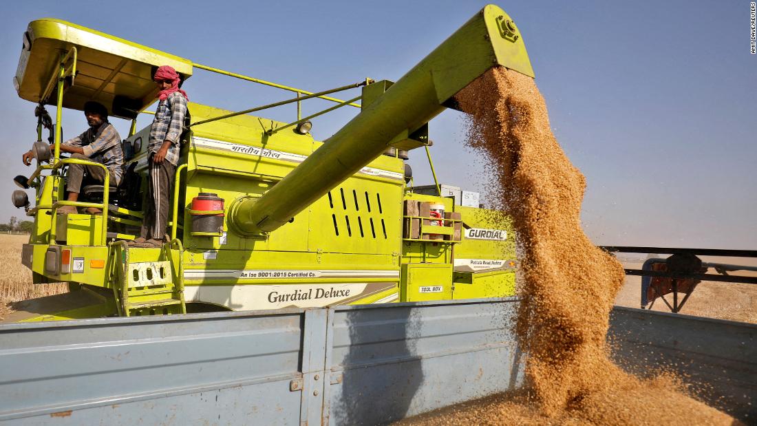 India prohíbe las exportaciones de trigo debido a que la ola de calor daña los cultivos y eleva los precios internos