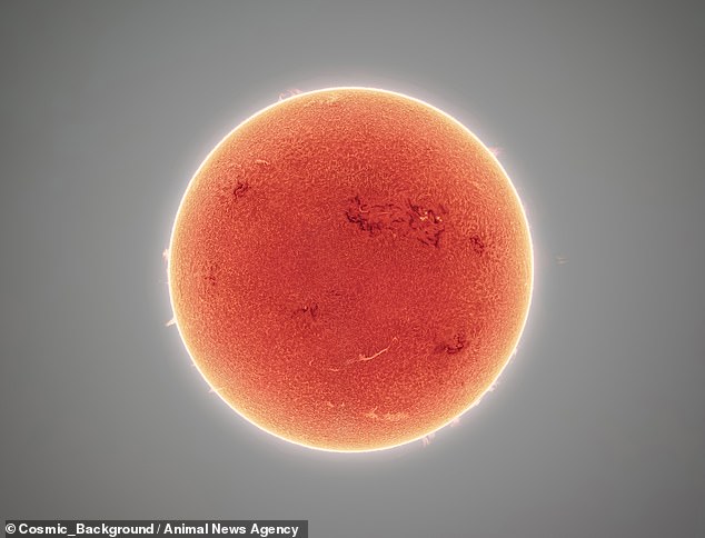 El astrofotógrafo estadounidense Andrew McCarthy seleccionó 30.000 imágenes para crear un mosaico que captura el Sol en alta resolución desde Florencia, Arizona, EE. UU.