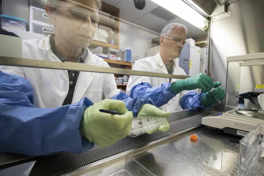 Un hombre y una mujer con batas blancas de laboratorio y guantes trabajan con muestras detrás de una mampara de vidrio.