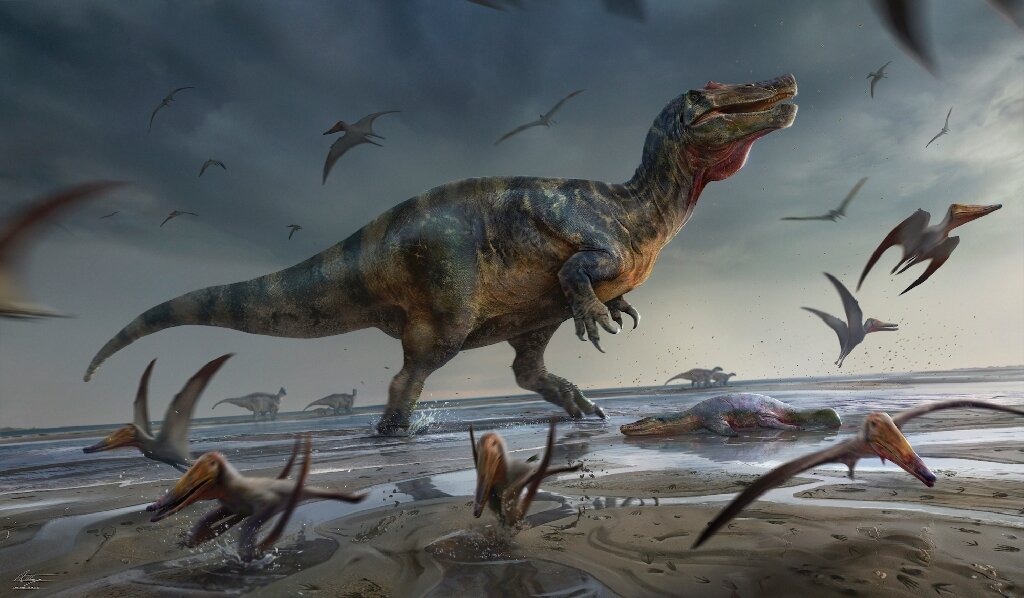 Cazador de fósiles británico descubre el dinosaurio depredador más grande de Europa