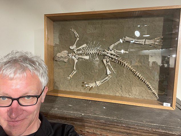 El hombre de 54 años (en la foto, Tom Holland) fue con su padre a la venta en Woolley & Wallis, en Salisbury, Walts, para hacer una presentación sobre el esqueleto de un Psittacosarus (lagarto loro) de 97,5 a 119 millones de años. .