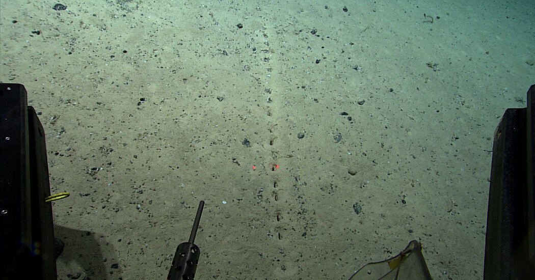 Hay agujeros en el fondo del océano.  Los científicos no saben por qué.
