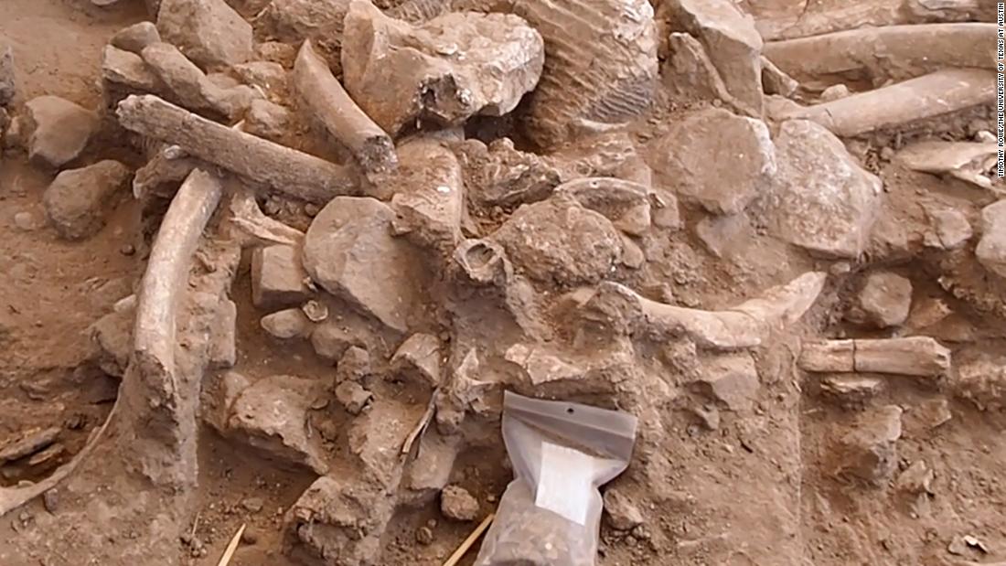 Huesos de mamut muestran evidencia de humanos primitivos en América del Norte