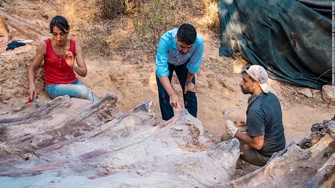 Descubre una jaula de dinosaurios en el patio trasero de Portugal