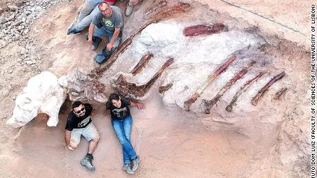 Los investigadores creen que los restos podrían haber tenido unos 39 pies de alto y 82 pies de largo.