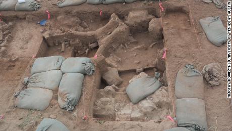 El sitio de excavación contenía huesos rotos del cráneo, la columna vertebral y las costillas del mamut.