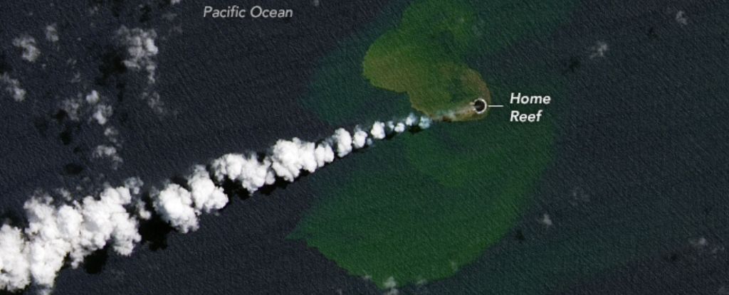 Una nueva isla ha surgido en el Océano Pacífico después de una erupción volcánica submarina: ScienceAlert
