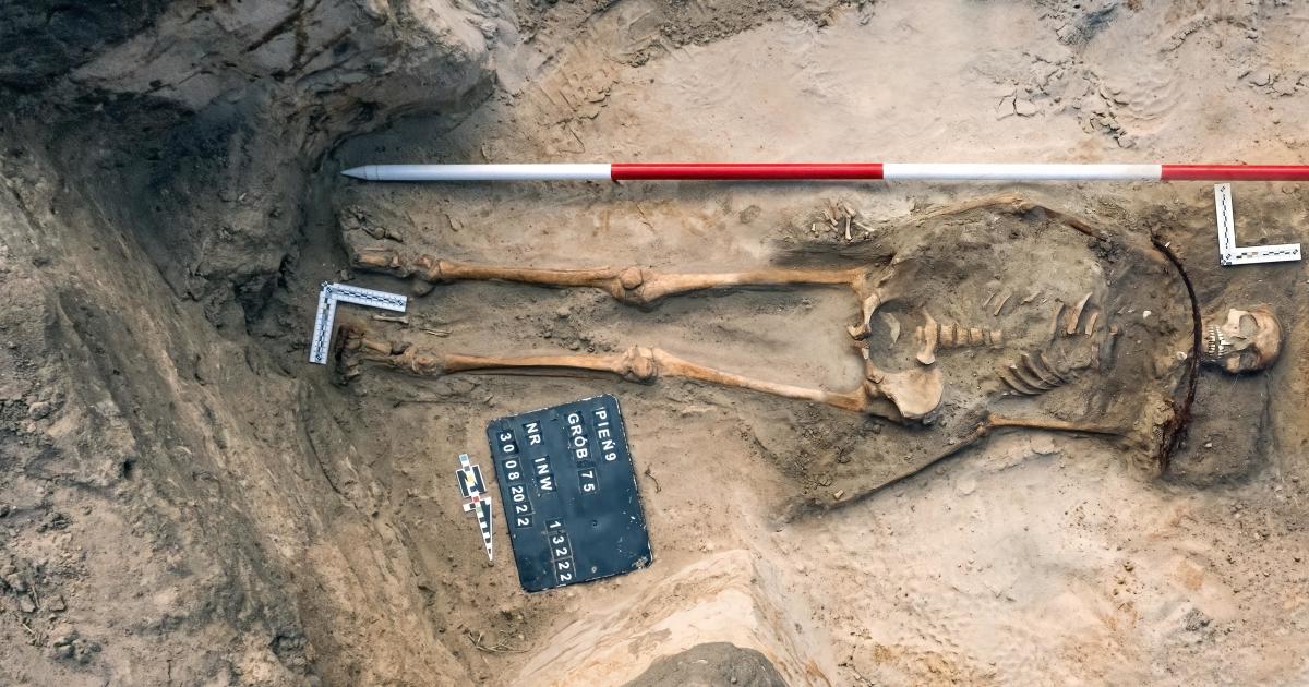 Esqueleto de una 'vampira' hembra descubierto en un cementerio de Polonia: 'puro asombro'