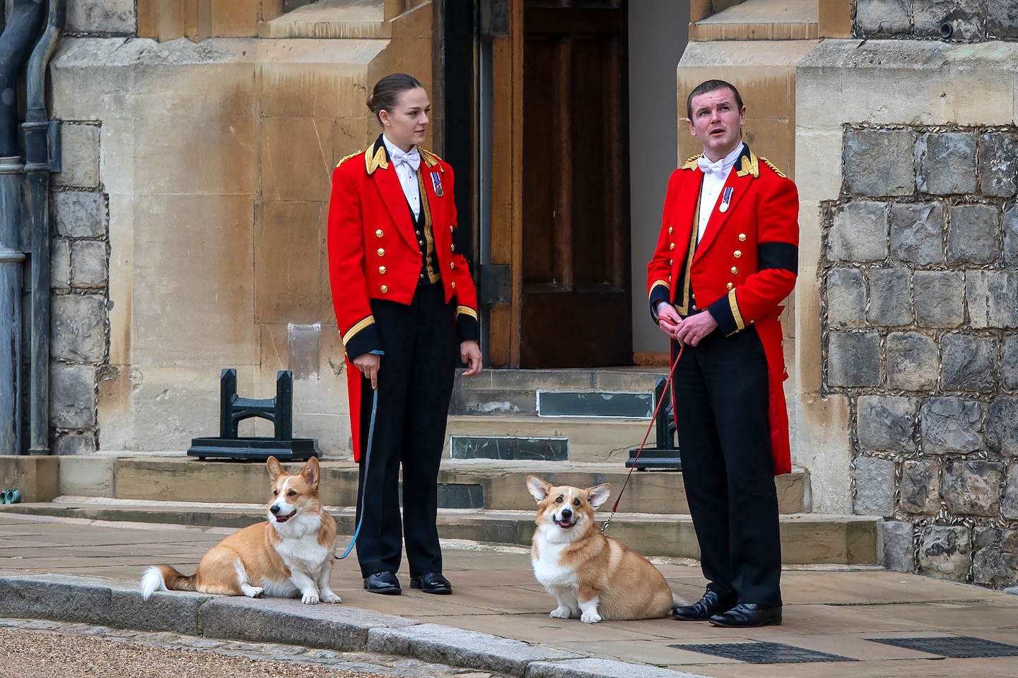 Los perros de la reina Isabel, el pony: el papel que jugaron los animales en el funeral
