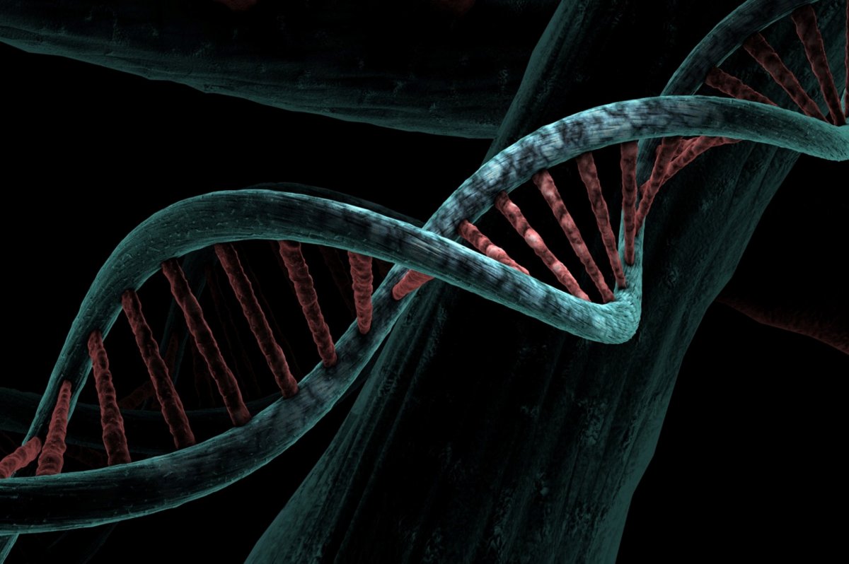 El ADN temprano revela dos poblaciones distintas en Gran Bretaña después de la última Edad de Hielo