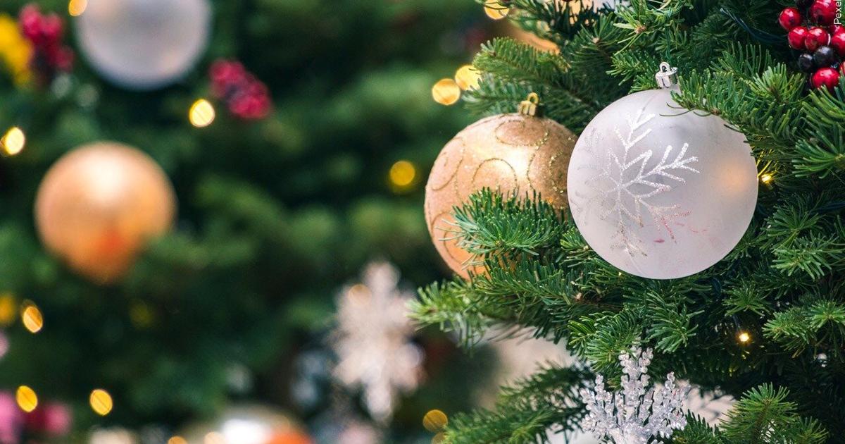 Las únicas Christmas Tree Shops en Lehigh Valley que realizan una venta fuera del negocio |  Noticias regionales de Lehigh Valley