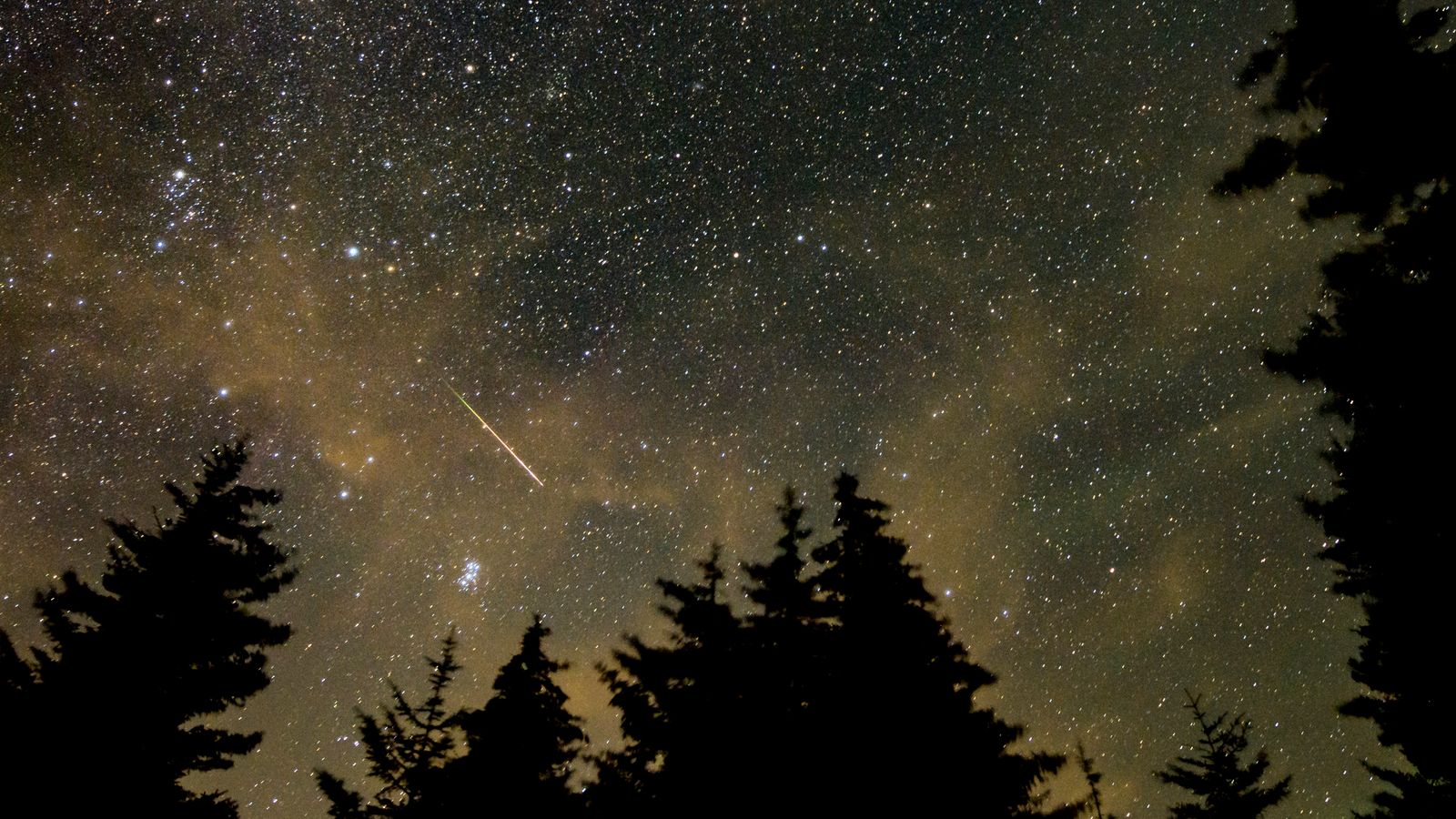 Cómo y cuándo ver la lluvia de meteoritos Perseidas, con hasta 100 estrellas brillantes por hora |  noticias de ciencia y tecnologia