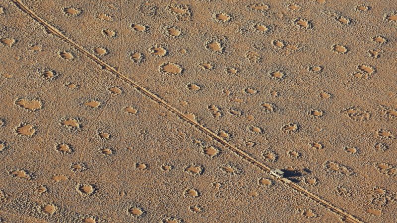 Los misteriosos "círculos de hadas" en Namibia y Australia no son tan raros, según un estudio