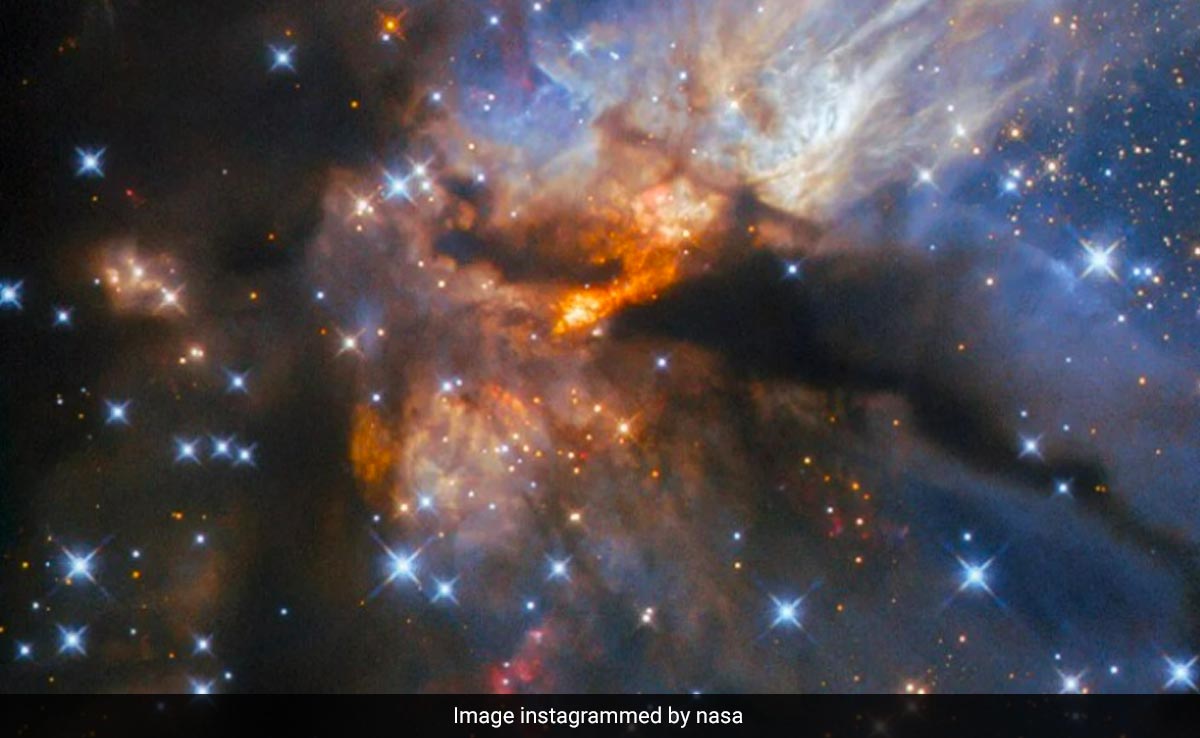 NASA Shares Spectacular Image Of Constellation Aquila, Located 7,200 Light-Years From Earth