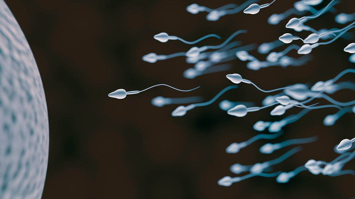 Los científicos han descubierto por primera vez que los espermatozoides desafían una de las leyes de la física de Newton