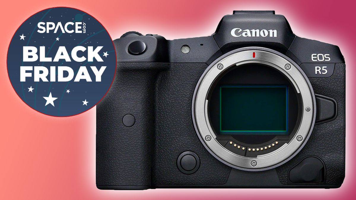 Canon EOS R5 on a coloured background on sale for black friday