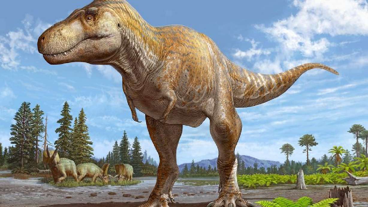 Los científicos concluyen que el fósil de Nuevo México es una nueva especie de dinosaurio