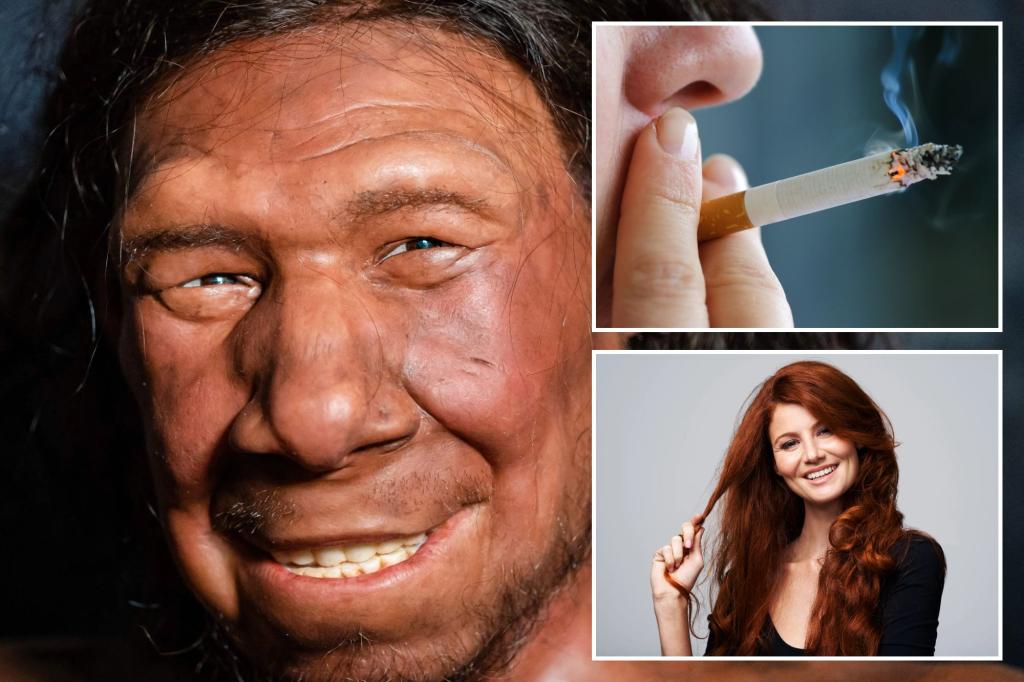 Seis rasgos por los que puedes agradecer a los neandertales: desde los malos hábitos hasta los horarios de sueño
