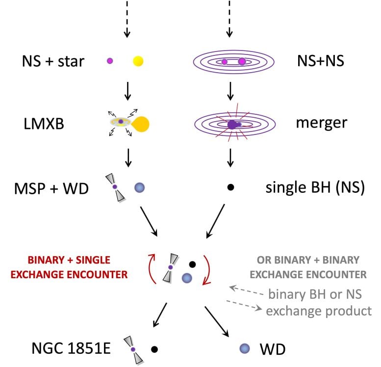 Radiopúlsar NGC 1851E y la historia de la formación de estrellas compañeras exóticas