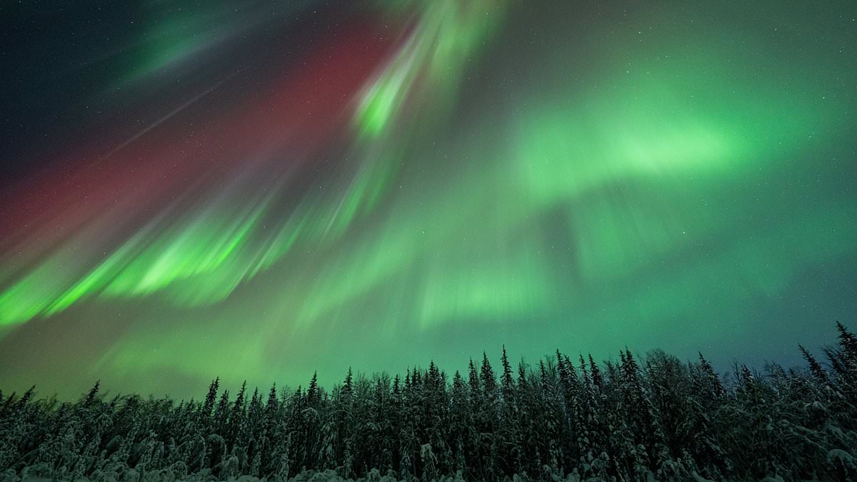 Millones de personas que viven en los estados del norte, desde Washington hasta Nueva York, ahora pueden ver las deslumbrantes auroras boreales gracias a una tormenta geomagnética