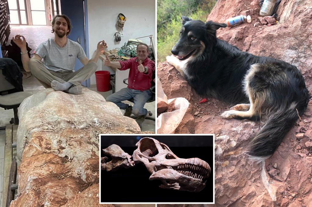 Un francés encontró un fósil de dinosaurio mientras paseaba a su perro