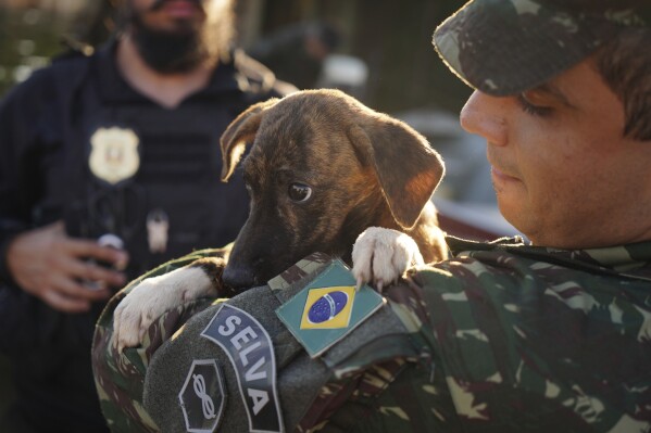 Un soldado brasileño carga a un perro después de rescatarlo de una zona inundada tras las fuertes lluvias en Canoas, estado de Rio Grande do Sul, Brasil, el jueves 9 de mayo de 2024. (Foto AP/Carlos Macedo)