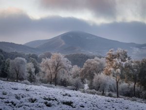 Fotogalería: la nieve transforma la sierra de Béjar en un paraíso invernal